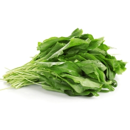 صورة جرجير