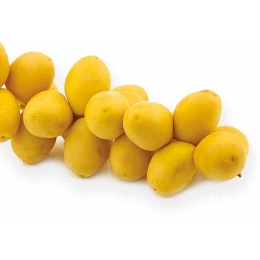 صورة بلح برحي- 1 كجم 