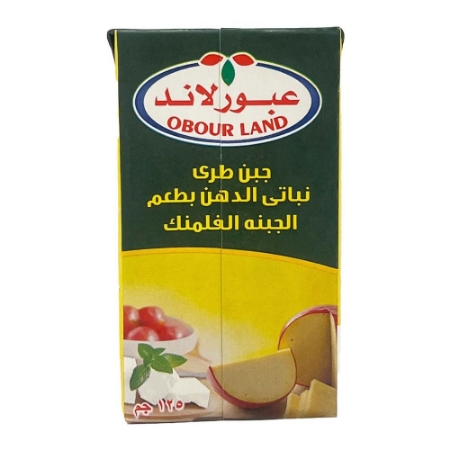 صورة عبور لاند جبن نباتي الدهن بطعم الجبنه الفلمنك -250 جرام
