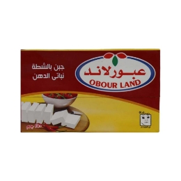 صورة عبور لاند جبن نباتي الدهن بطعم الجبنه الفلمنك -500  جرام 