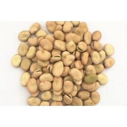صورة فول بلدي سائب - 500 جرام 